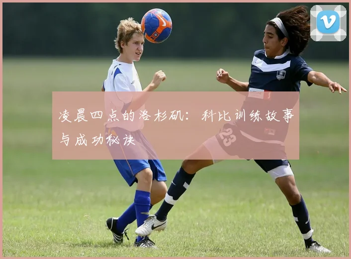 凌晨四点的洛杉矶：科比训练故事与成功秘诀