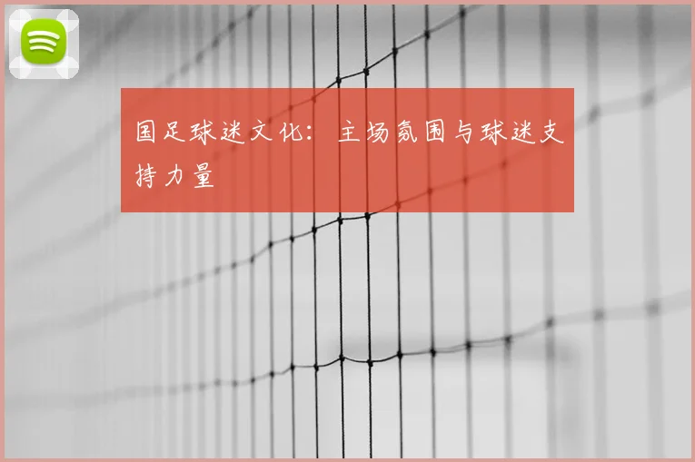 国足球迷文化:主场氛围与球迷支持力量